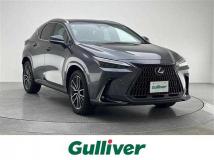 2024 Lexus NX
