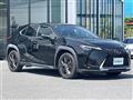 2019 Lexus UX