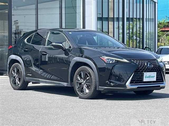 2019 Lexus UX