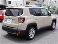 2017 Chrysler Renegade