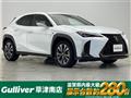2021 Lexus UX