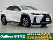 2021 Lexus UX