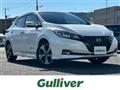 2021 Nissan Leaf