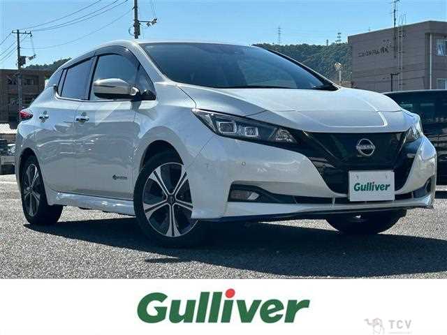 2021 Nissan Leaf