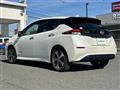 2021 Nissan Leaf