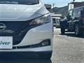 2021 Nissan Leaf