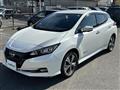2021 Nissan Leaf