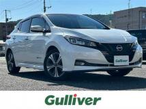 2021 Nissan Leaf