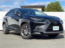 2019 Lexus NX