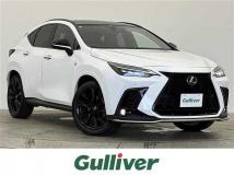 2024 Lexus NX