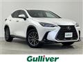 2022 Lexus NX