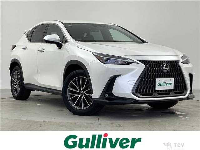 2022 Lexus NX