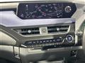 2019 Lexus UX
