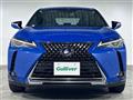 2019 Lexus UX