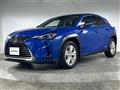 2019 Lexus UX