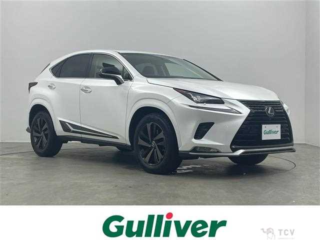 2019 Lexus NX