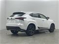 2019 Lexus NX