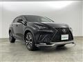 2019 Lexus NX