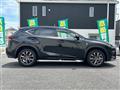 2021 Lexus NX