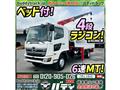 2019 Hino Hino Others
