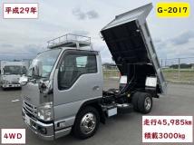 2017 Isuzu Isuzu Others
