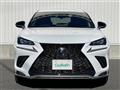 2019 Lexus NX