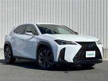 2019 Lexus UX