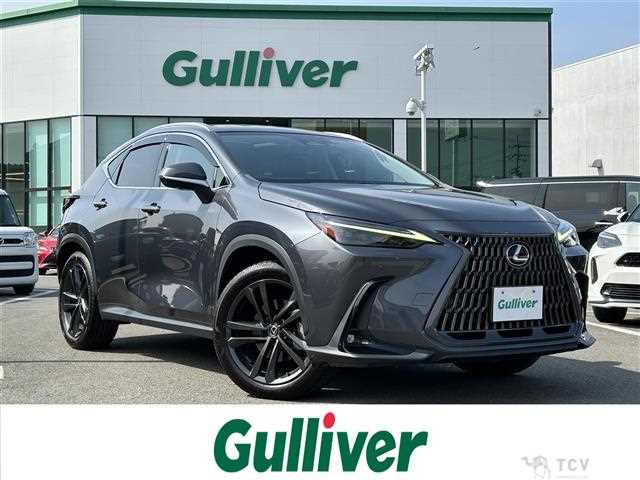 2023 Lexus NX