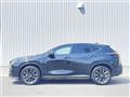 2022 Lexus NX