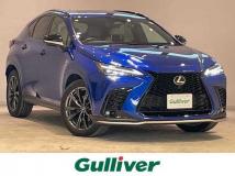 2022 Lexus NX