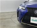 2021 Lexus UX