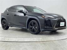 2021 Lexus UX