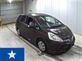 2011 Honda Fit shuttle