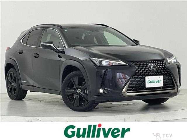 2020 Lexus UX