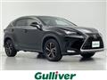 2018 Lexus NX