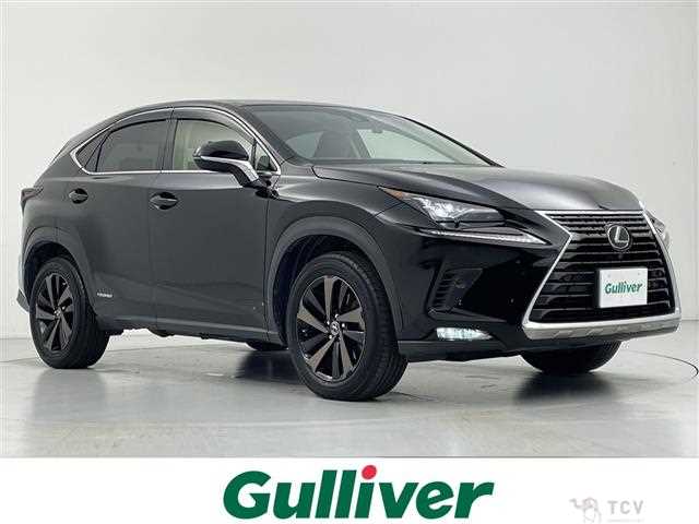 2018 Lexus NX