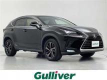 2018 Lexus NX