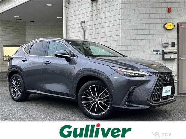 2023 Lexus NX