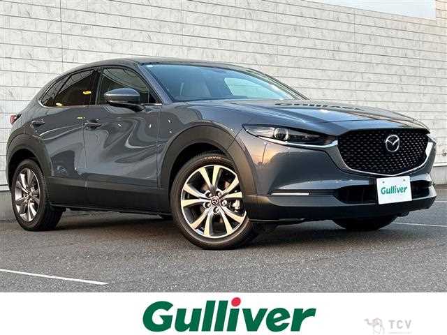 2021 Mazda CX-3