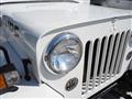 1988 Mitsubishi Jeep