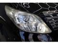 2010 Toyota Alphard G