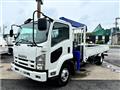 2010 Isuzu Isuzu Others