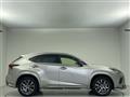 2019 Lexus NX