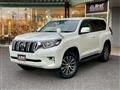 2019 Toyota Land Cruiser Prado