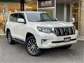 2019 Toyota Land Cruiser Prado