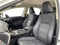 2018 Lexus NX