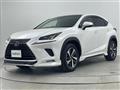 2018 Lexus NX