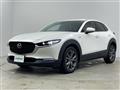 2021 Mazda CX-3