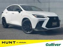 2025 Lexus NX
