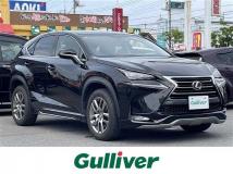 2015 Lexus NX